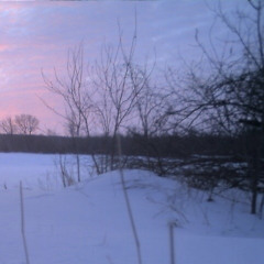 killedmyself x lil lotus - revealing hope (nevrfall flip)