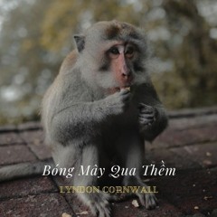Bóng Mây Qua Thềm
