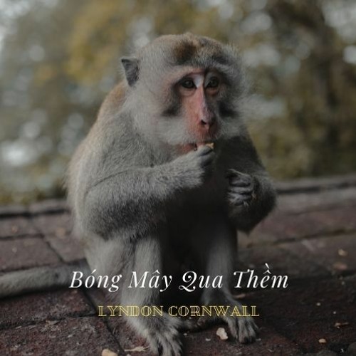 Bóng Mây Qua Thềm