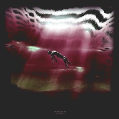 x, zach fox - somnium (vip)
