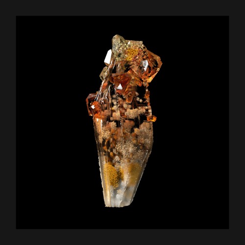 Premiere: Radeckt - Playful Passion [microcastle]