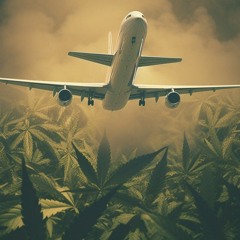 DON'T MISS THIS JET (HOE)