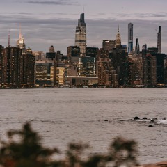 Yellow Leaves Of New York