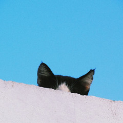 Fauré: Mi-a-ou, Dolly Suite, Op.56 No.2 (double recording)  フォーレ ドリー ミャオー（二重録音）