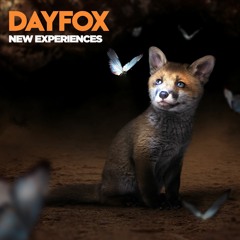 DayFox - New Experiences (Free Download)