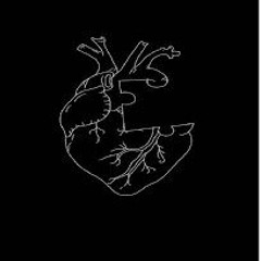 عازف الاوتار لا تزيد النار