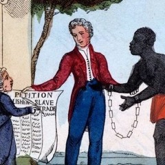 Certified Flow Prod Bloomcr4zy