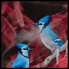 BLUE JAY [Prod. 6astardcanrise]