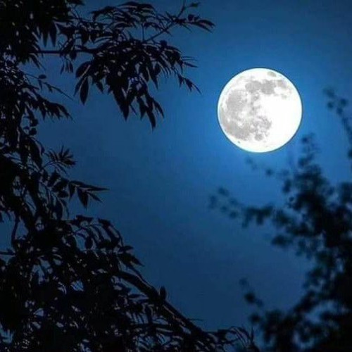 Aadhi Raat Andhari Ja | Ho Muhinjay Goday Nind Suti  | Rajib Faqeer