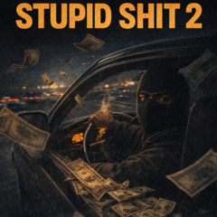 Stupid Shit 2 (prod. by senseixjay)
