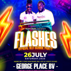 FLASHES OLD SCHOOL PARTY PROMO BY BIG LIFE SOUND DJ TOP SPEECH AND SELECTOR TJ