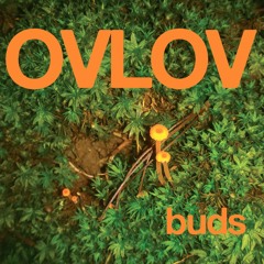 Ovlov - Strokes