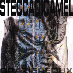 STECCA DI CAMEL CON ERNIGERIA&REDUX (GRAZIE REDUX X LA PRODUZIONE)