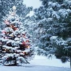 Chris Rae - Driving Home For Christmas (Dj Tomi Remix)