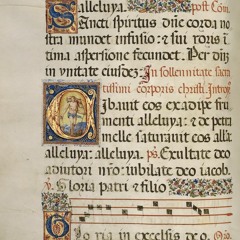 Medieval Scripts