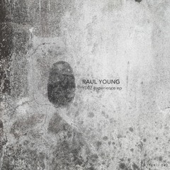Raul Young - Not Identical (Original Mix) [MATERIA]