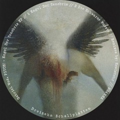 Gabriel Wnz, PITCH! - Die Schwarze Wueste (SGARRA Remix) [Cut] Dreizehn Schallplatten