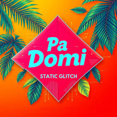 Static Glitch - Pa Domi