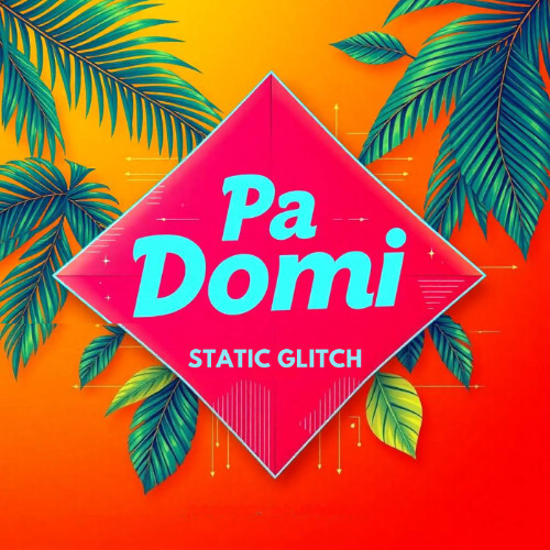 Static Glitch - Pa Domi