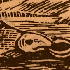 dive with the horses