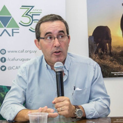 Pablo Perdomo - Asamblea de CAF