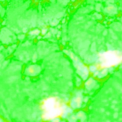 Set Nr. 23: EmPtY (08.08.25) @Subardo Festival/Luppa