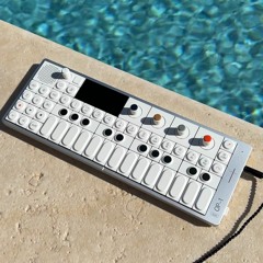 Snoop Dogg vs. Avicii (Thoj OP1 Remix)