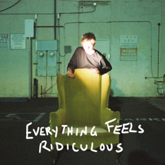 Everything Feels Ridiculous (Acoustic)