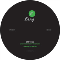 Under The Stars (Ray Mang Remix)