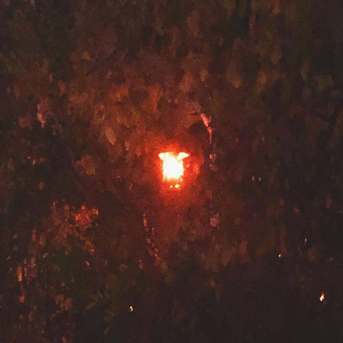 Sadness - fairysad