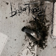 CastrationAnxiety (demo)