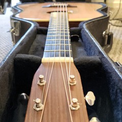 Shake The Frost - Tyler Childers (cover)