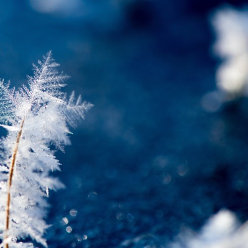 Stream Fill In Snow feat. Khan (short) by rakia | Listen online for ...