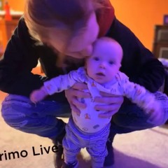 Primo Live - Dangerous