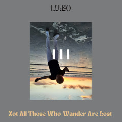Not All Those Who Wander Are Lost (Pt. III)