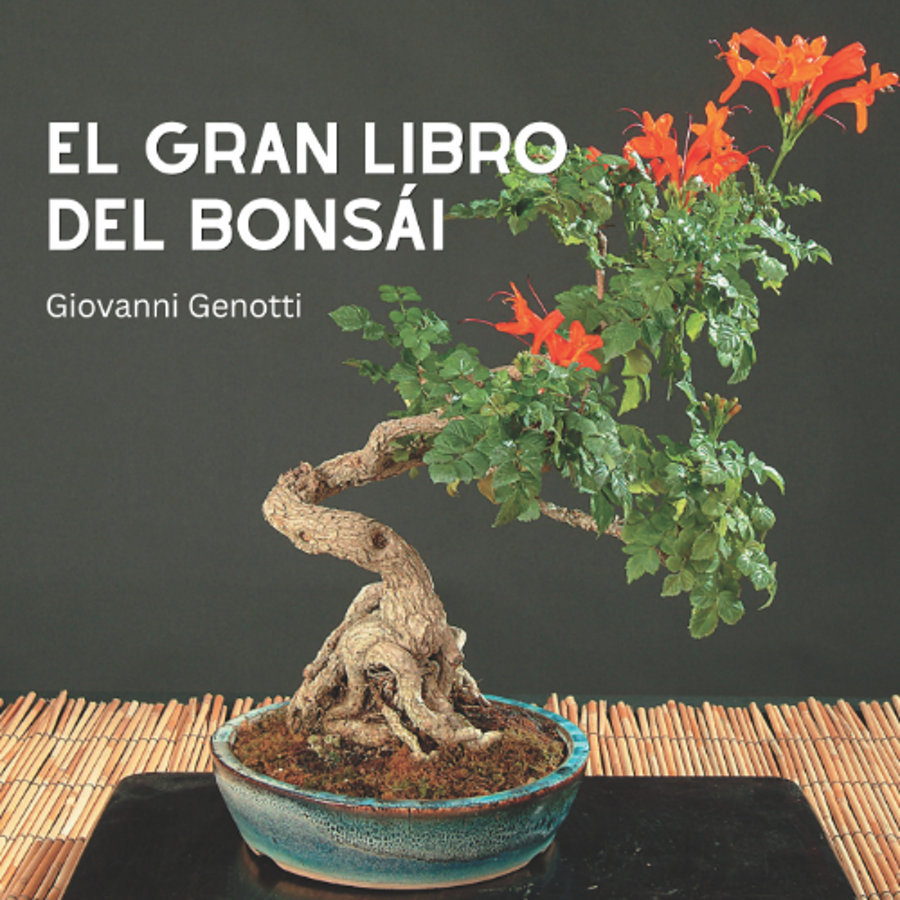 Devecchi Ediciones
