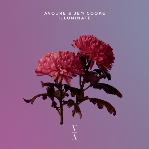 Avoure & Jem Cooke - Illuminate [Extended Mix]
