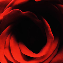 The Tale of Love’s Perplexity (Words of Siraj) - Ustad Fareed Ayaz