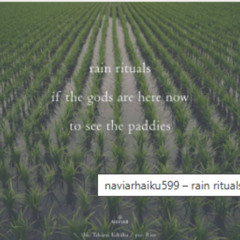 the gift of rain_NAVIARHAIKU599