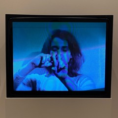 Your favorite dog demo