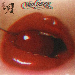 Wild Cherry - Play That Funky Music (LAGnaf Remix)