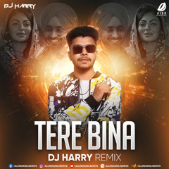 Tere Bina Na Guzara E (Remix) - DJ Harry