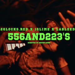 556 and 223s (official video) 2glocks.red