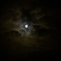 Ma douleur sur la track