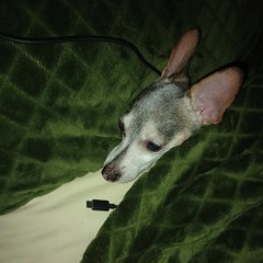 a mimir :3 (songs I listen to sleep)