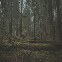 Tyrus | Something Slow 0172