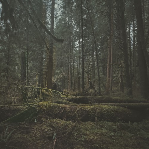 Tyrus | Something Slow 0172