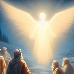 Owlkami - Unravelling Entanglement