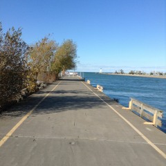 Virtue Will Vanquish