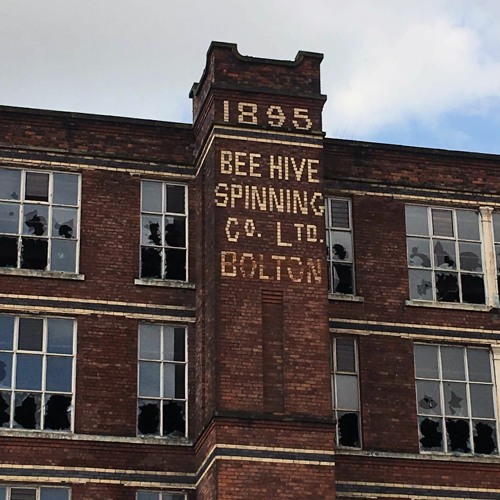 Jon Tetly - Bee Hive